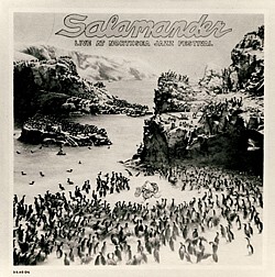 Salamanders first LP
